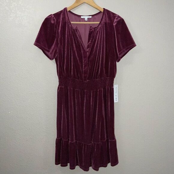 NWT City Vibe Velvet Smocked Waist Skater Dress size L - Picture 2 of 8